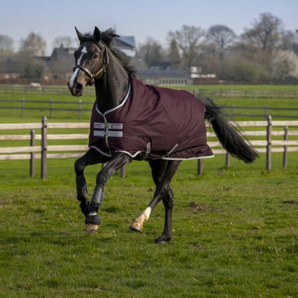 Horseware Amigo 50g Turnout Rug Fig/Silver