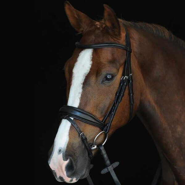 Mono Crown Padded Raised Flash Bridle Equine Superstore