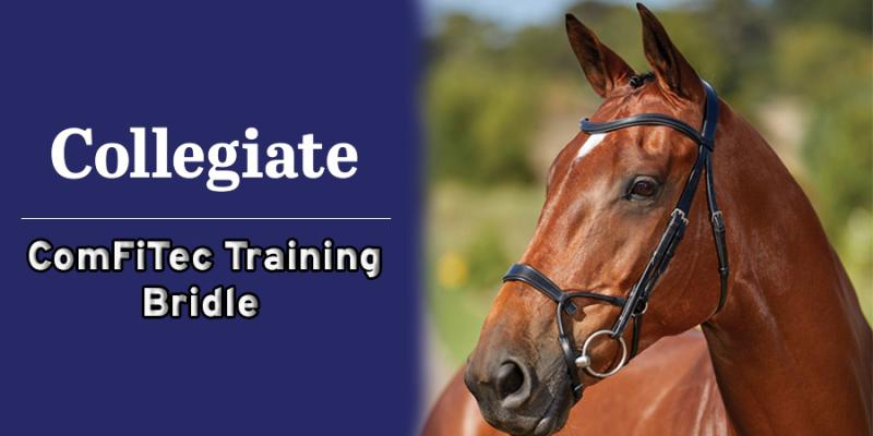 Collegiate ComFiTec Bridle – Tried & Tested