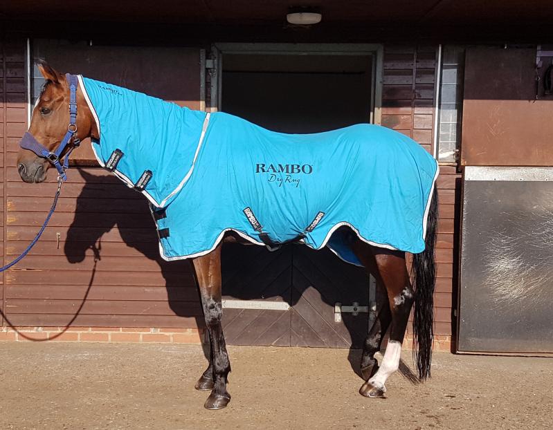 Rambo Dry Rug Supreme - Tried & Tested!