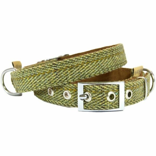 Green Tweed Dog Collar