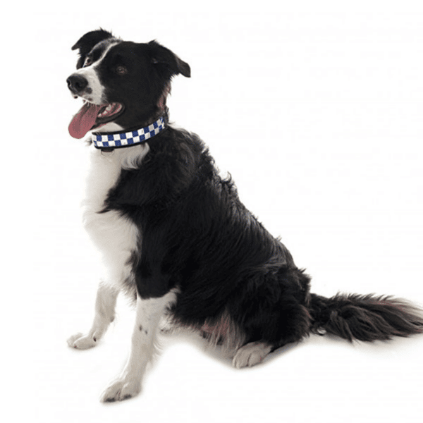 Equisafety Polite Dog Collar