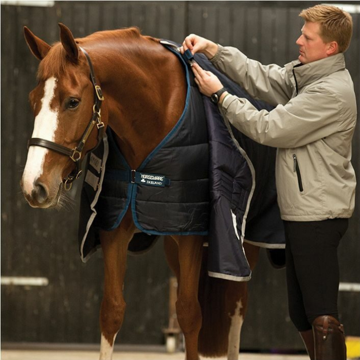 Horseware Liner 100g Equine Superstore