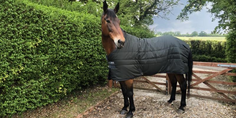 Horseware Stable Rug 200g - Tried and Tested