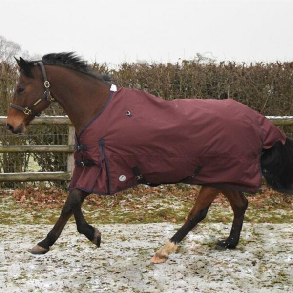 JHL Essential Turnout Rug Lightweight Burgundy Navy