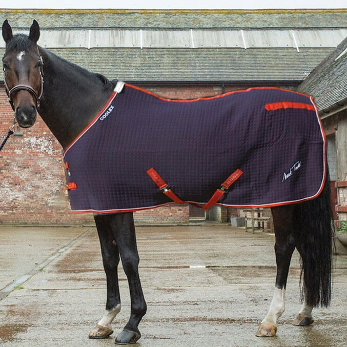 Mark Todd Coolex Cooler Equine Superstore