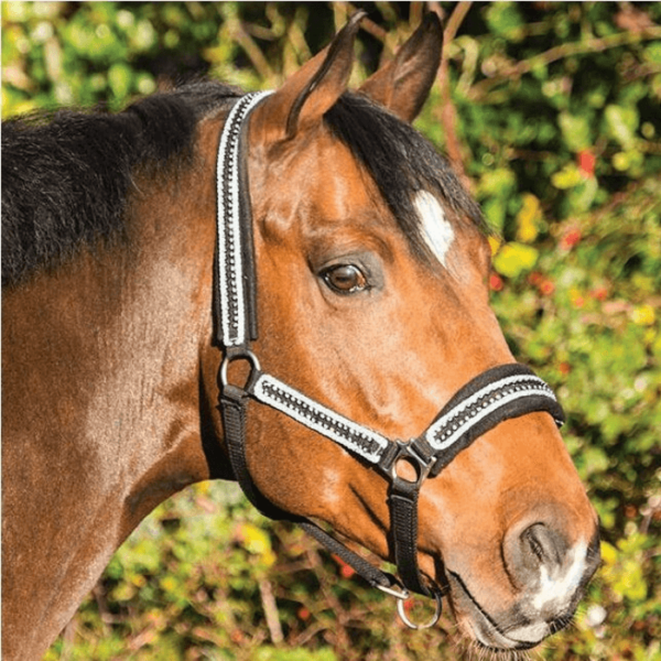 Rambo Diamante Headcollar details