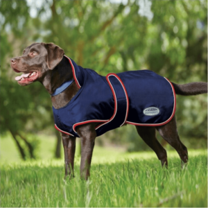 equine dog fleece