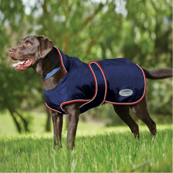 WeatherBeeta Windbreaker 420D with Belly Wrap Dog Rug