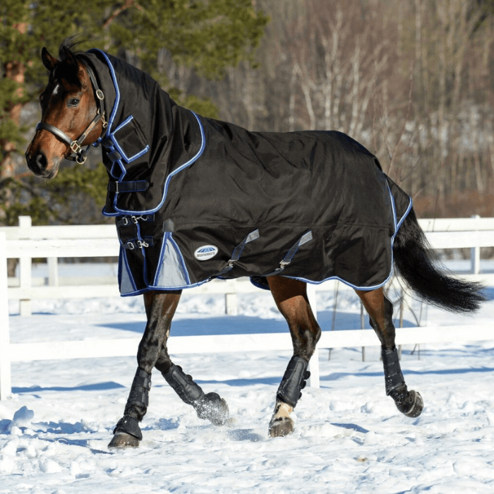 Weatherbeeta Comfitec Ultra Cozi II DetachANeck Medium Equine