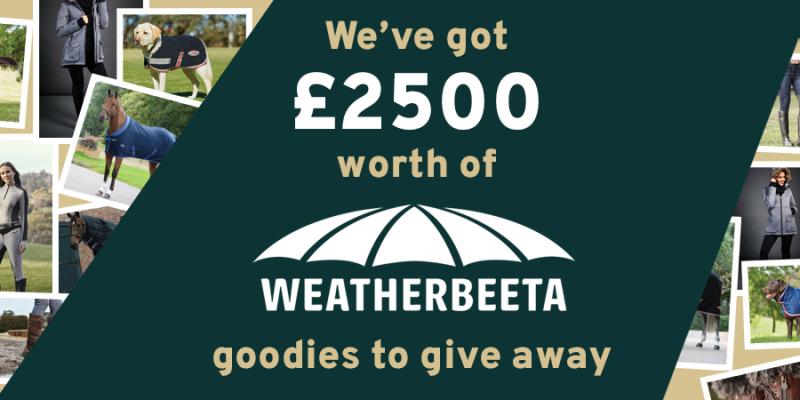 Mega Weatherbeeta Bundle