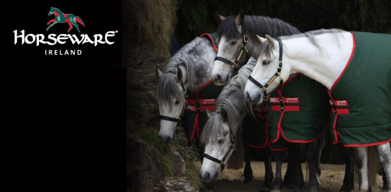 Horseware Turnout Trade-In At Equine Superstore