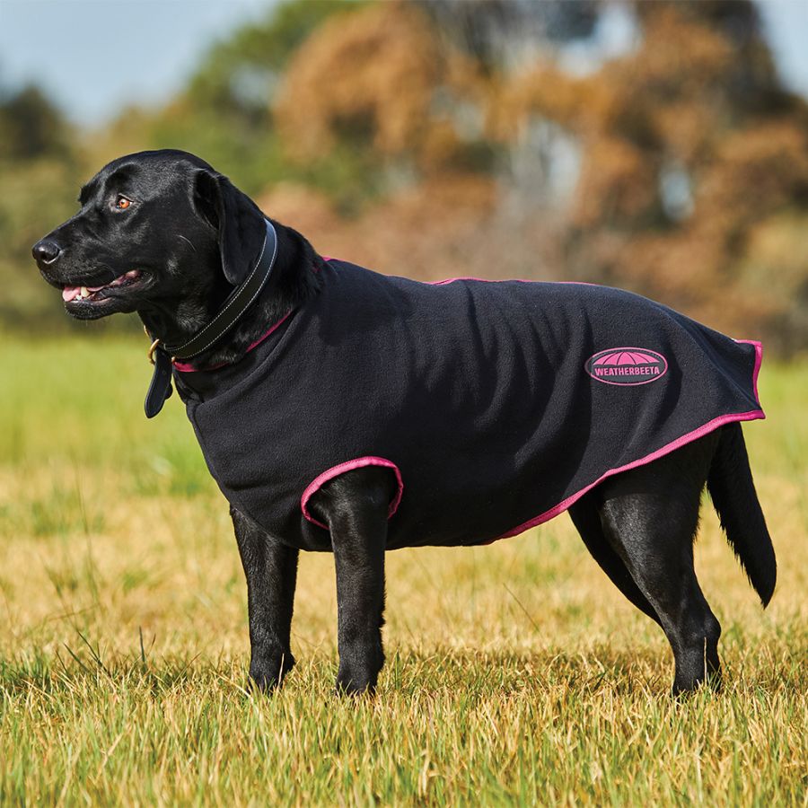 fleece zip dog rug1 1