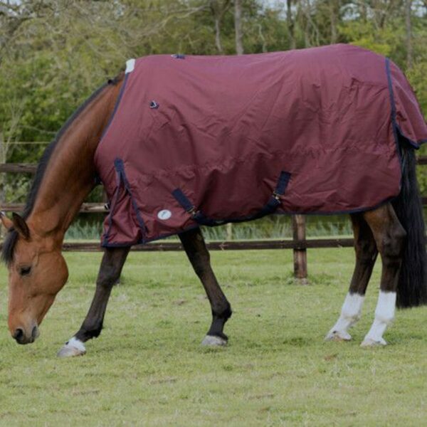 JHL Essential Turnout Rug Lightweight Burgundy Navy