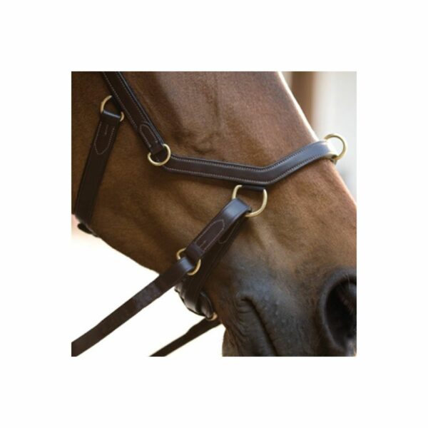 micklem multibridle3 e1621049815299