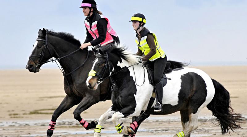 Reflective Riding Wear - Be Safe