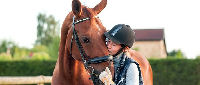 Protect That Head! - Riding Hat Guide