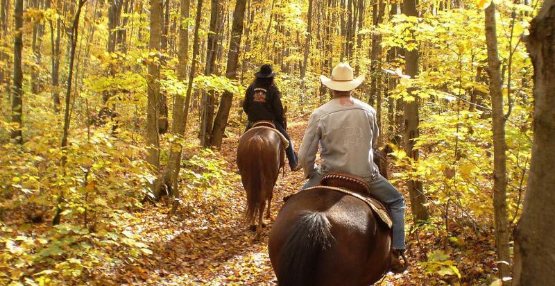 Horseback Holidays - Ride of your Life