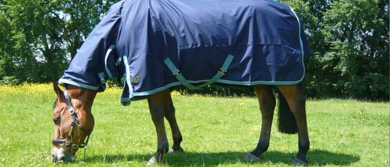 How To Clean & Care For Your Horse Rugs