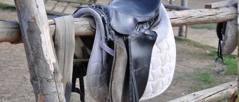 Saddle Cloths and Numnahs - The Guide