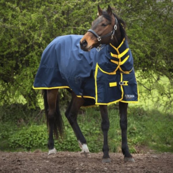 Gallop Trojan 600D Combo Turnout - 200g - Navy Yellow