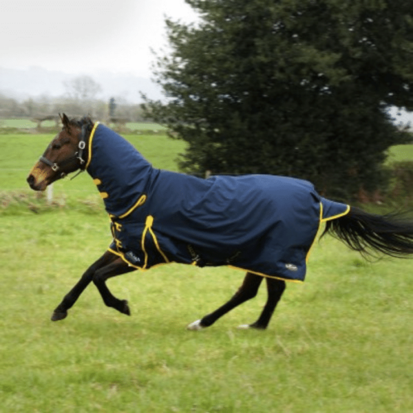 Gallop Trojan 600D Combo Turnout - 200g - Navy Yellow