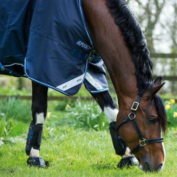 Navy Amigo Bravo 12 0g Turnout Rug