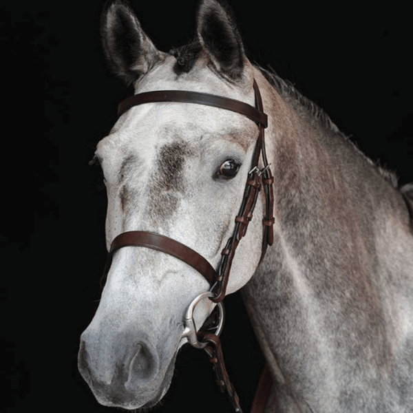 Collegiate Hunt Cavesson Bridle - Brown