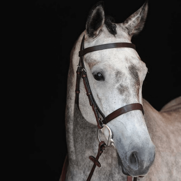 Collegiate Hunt Cavesson Bridle - Brown