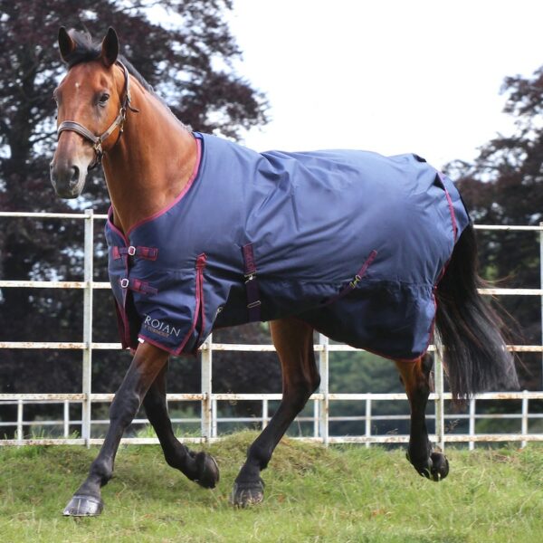 Trojan Navy 50g Turnout Rug