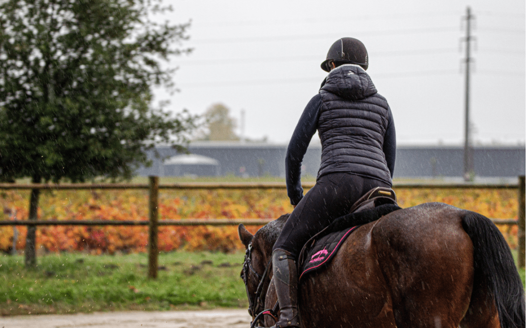 The Best Waterproof Wears For You & Your Horse