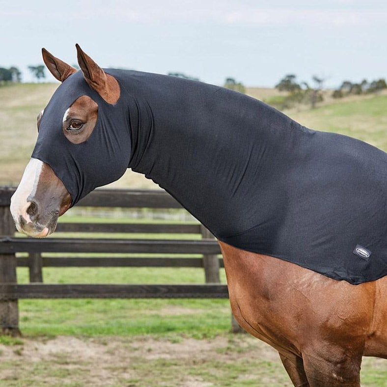 Weatherbeeta Stretch Hood With Zip - Equine Superstore