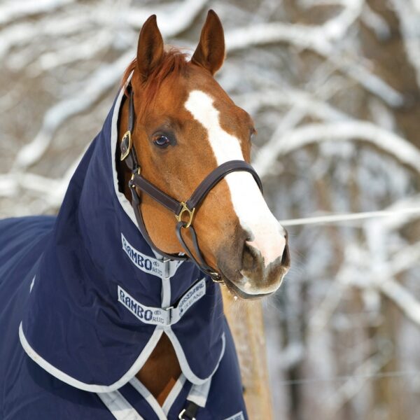 Rambo Original Turnout 200g Neck Hood NavySilver