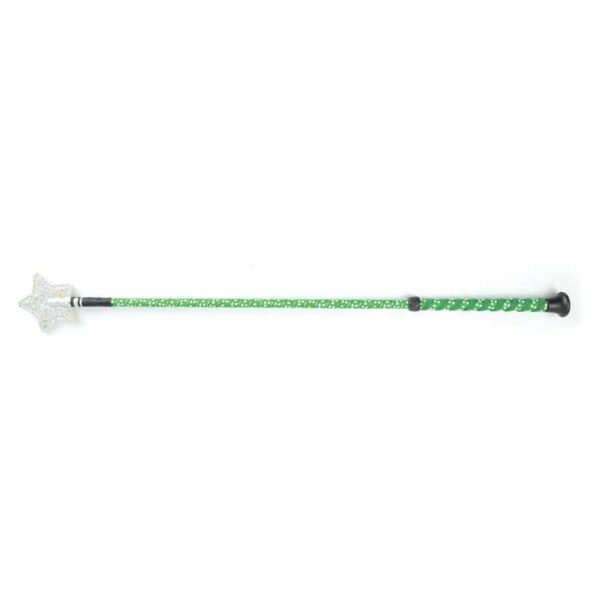 HySCHOOL Spiral Star Riding Whip Green