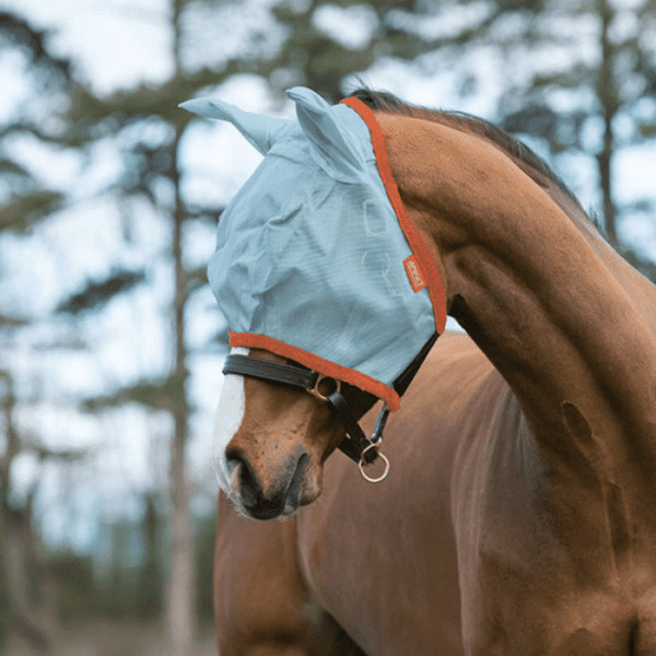 amigo fly mask aquaorange 1 1