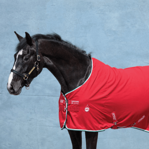 amigo stable sheet red