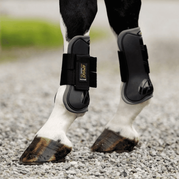 amigo tendon fetlock boots in black