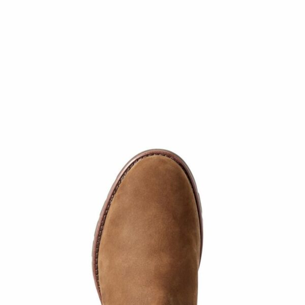 ariat abbey paddock boot