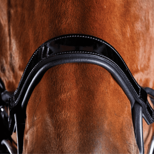 collegiate comfitec patent bridle brown 3