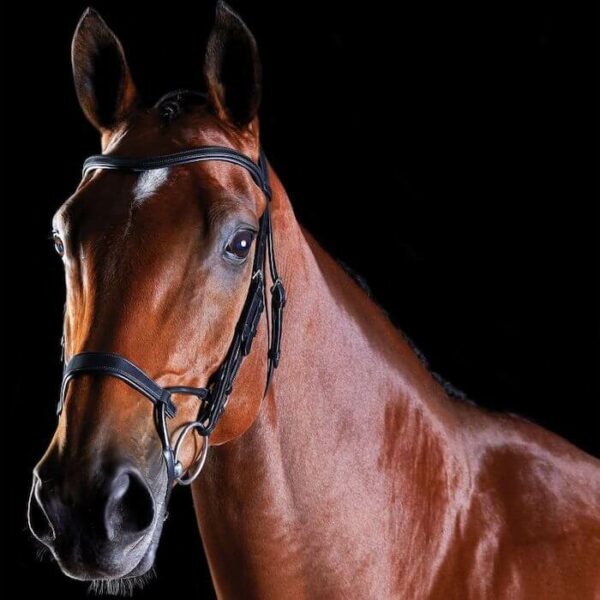 Black Leather Training Bridle