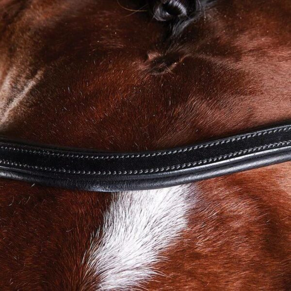 comfitec training bridle detail