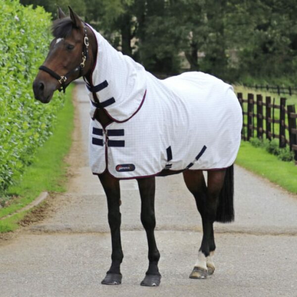 HY Equestrian White Summer Sheet