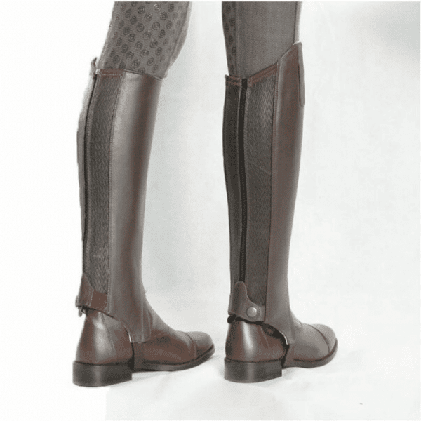 dublin leather half chaps back