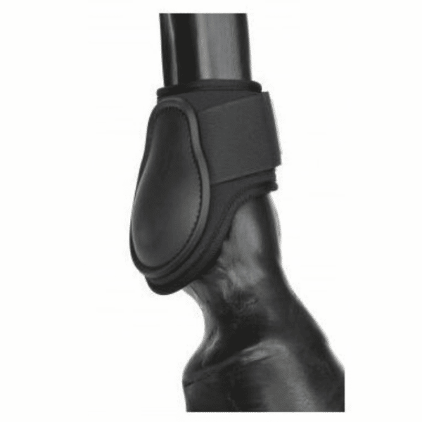 hy equestrian hyimpact fetlock boots back