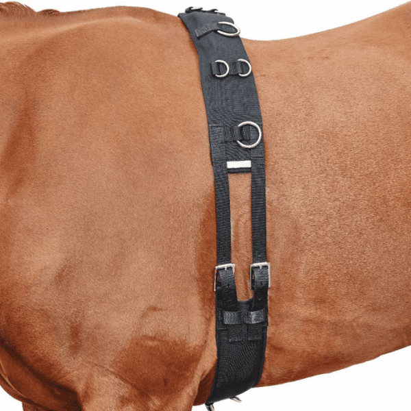 kincade deluxe equigrip lunge roller 1