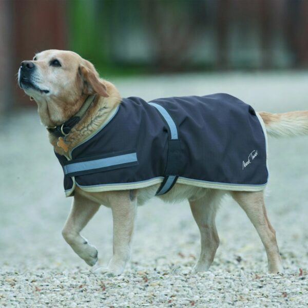 equine dog fleece