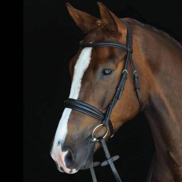 mono crown raised cavesson bridle black 2