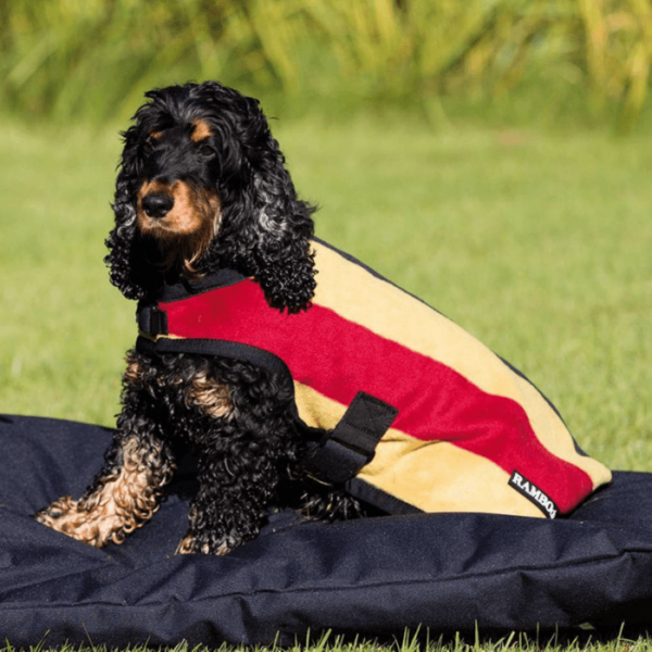 rambo deluxe dog rug red