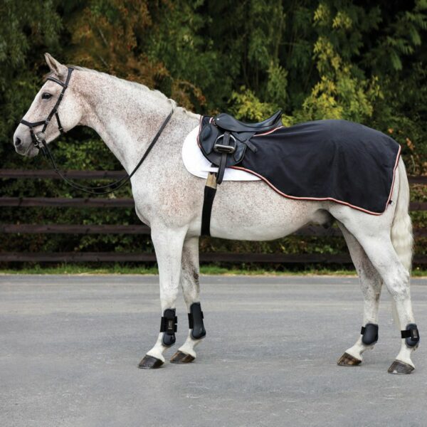 Horseware Black Fleece Competition Sheet