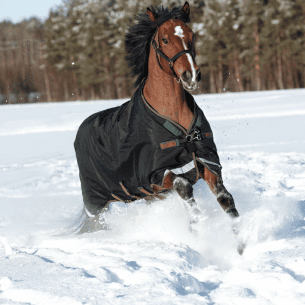 rambo original turnout la blackgreenred snow